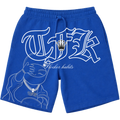 Blue-Buddha flocker shorts